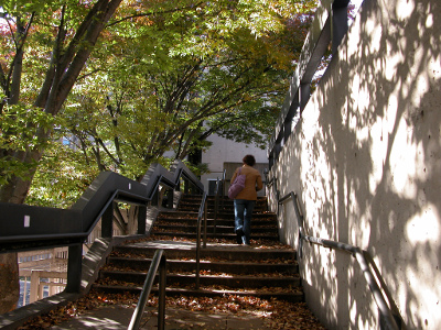 Stouffer College House